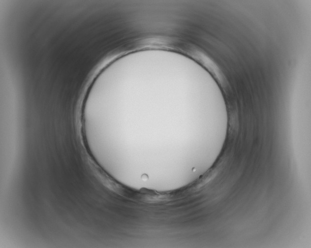 X0000110931435200907161530