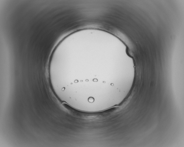 X0000110931436200907161530
