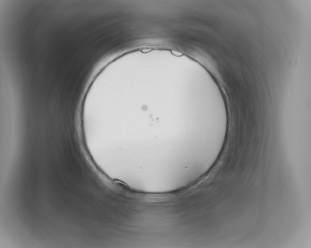 X0000110931440200907161530