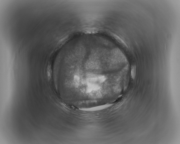 X0000110931444200907161530