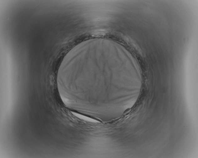 X0000110931445200907161530