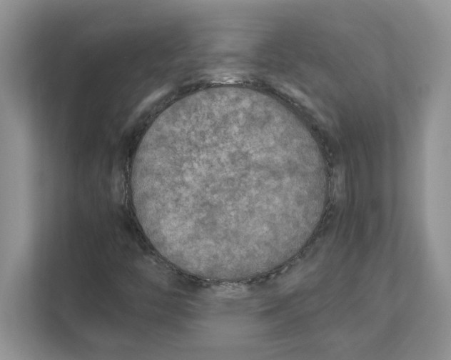 X0000110931446200907161530