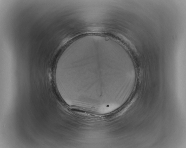 X0000110931449200907161529