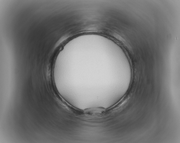 X0000110931450200907161529