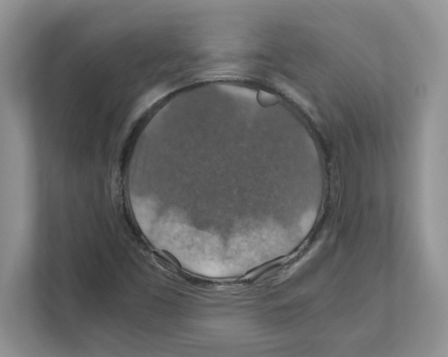 X0000110931453200907161529