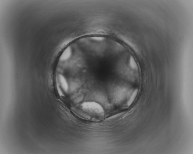 X0000110931455200907161529