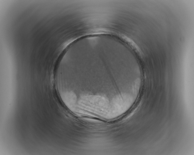 X0000110931457200907161529