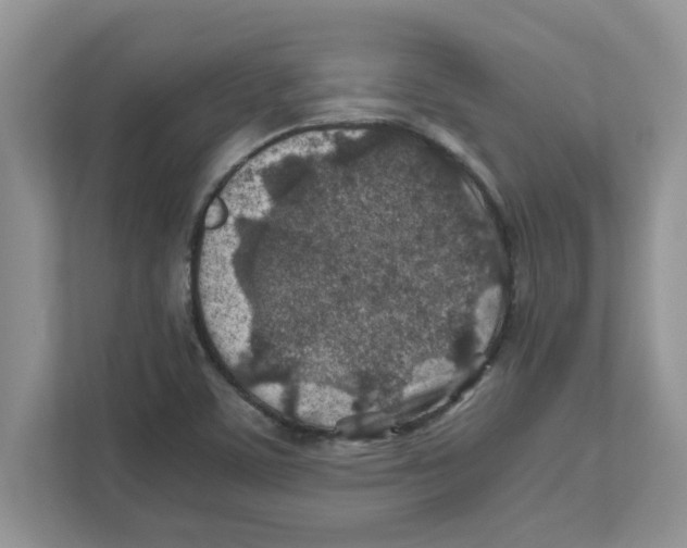 X0000110931459200907161529