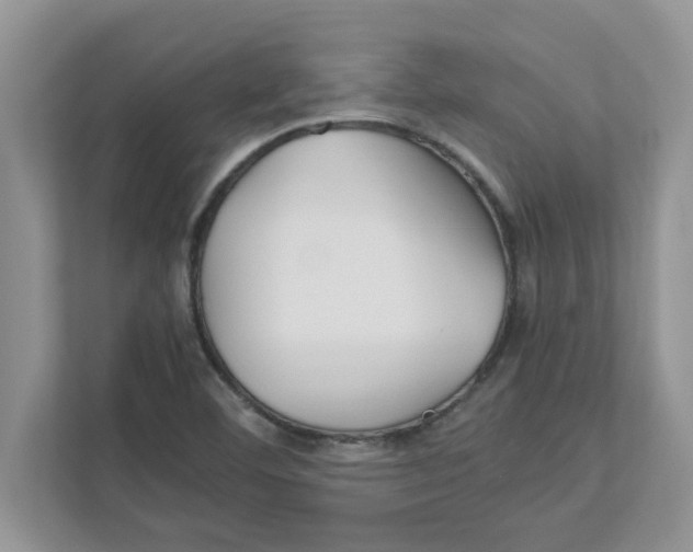 X0000110931460200907161529