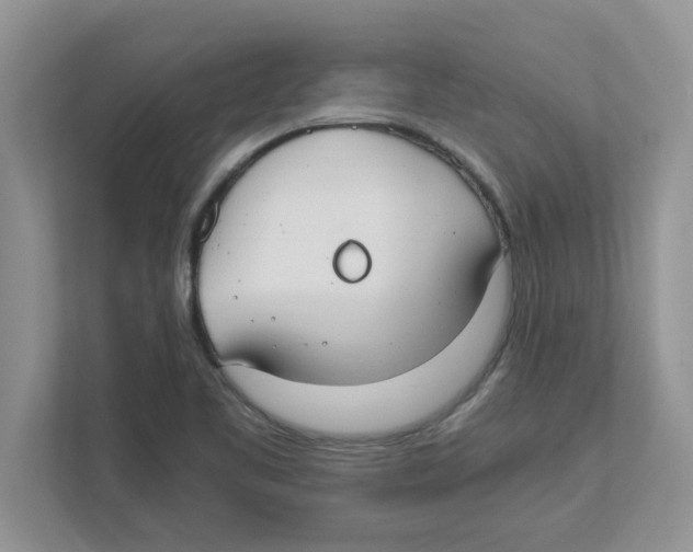 X0000110931461200907161529