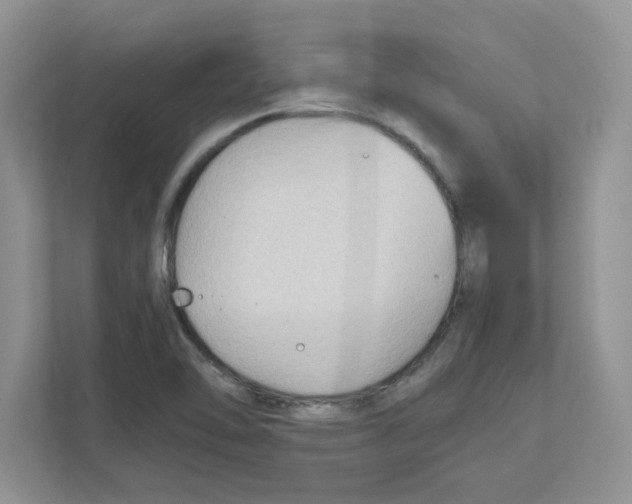 X0000110931462200907161529