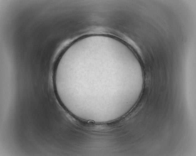 X0000110931464200907161529