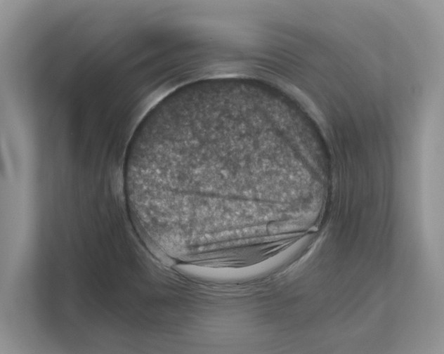 X0000110931465200907161529