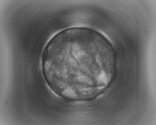 X0000110931468200907161529