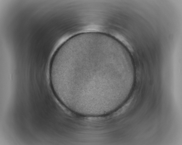 X0000110931469200907161529