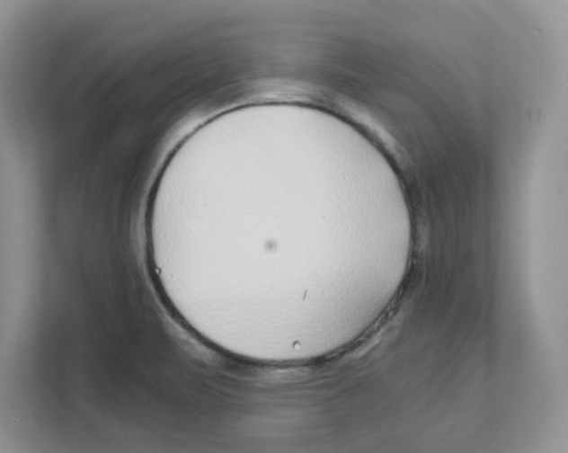 X0000110931471200907161529