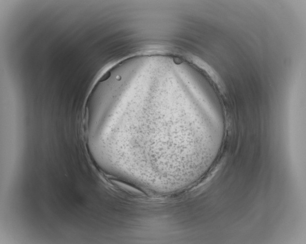 X0000110931473200907161529