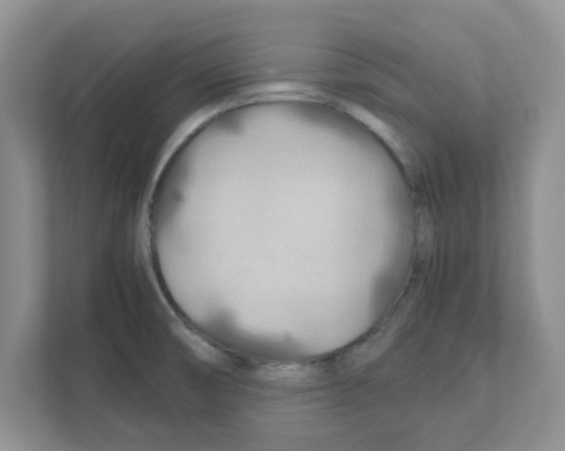 X0000110931474200907161529