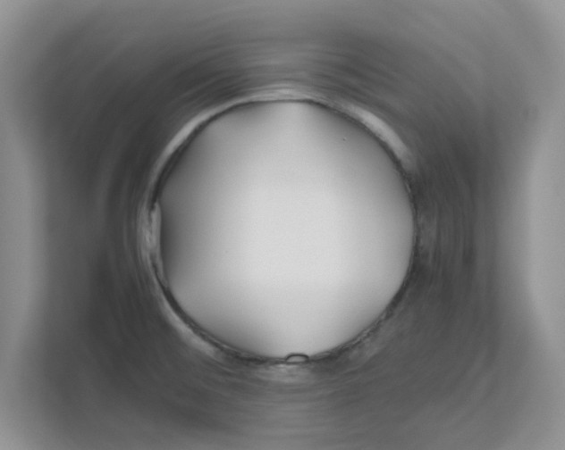 X0000110931476200907161529