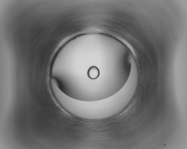 X0000110931477200907161529