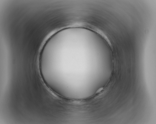 X0000110931480200907161529