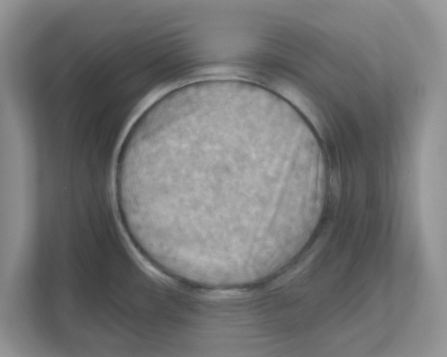 X0000110931482200907161529