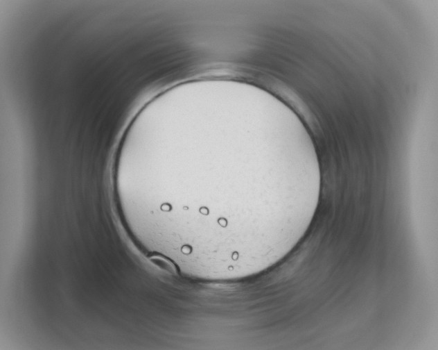 X0000110931483200907161529