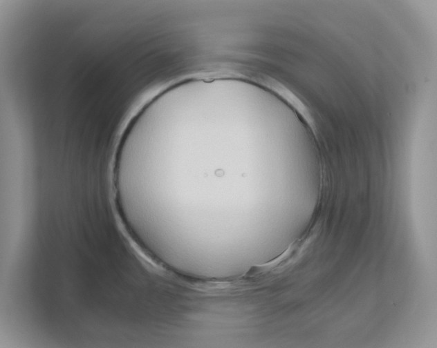 X0000110931485200907161529