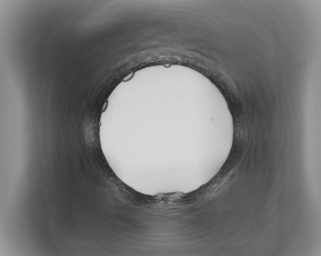 X0000110931490200907161528