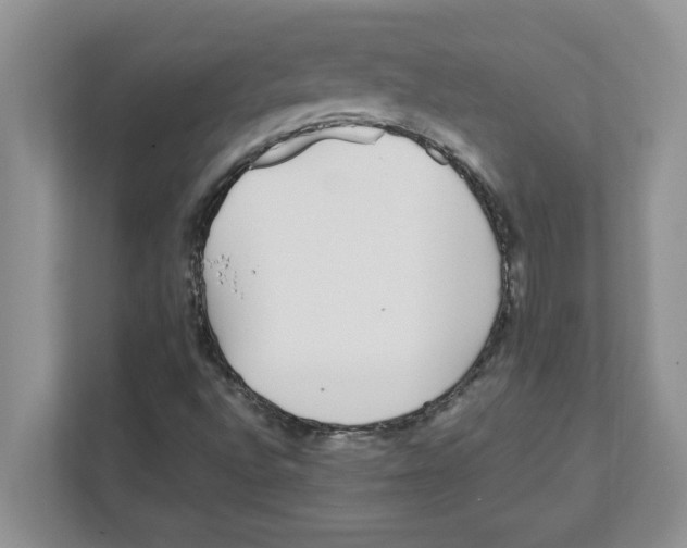 X0000110931496200907161528