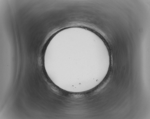 X0000110931501200907161529