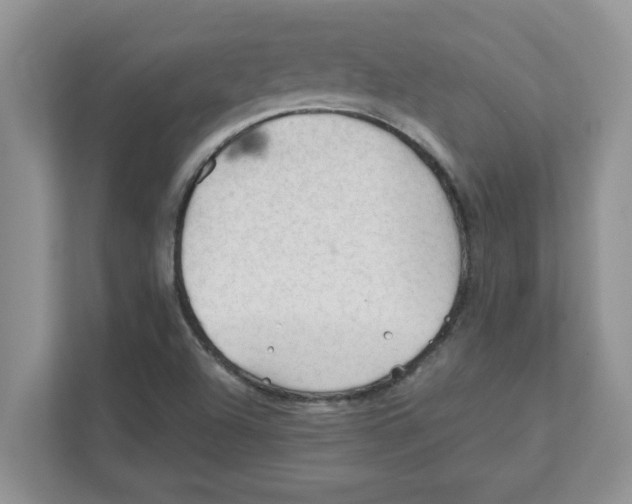 X0000110931504200907161529
