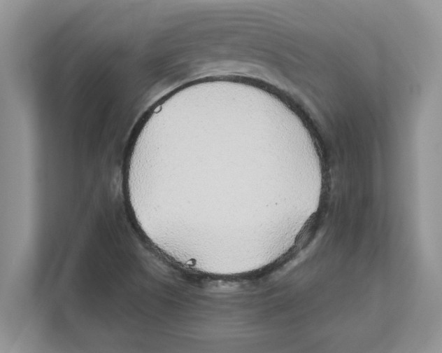 X0000110931505200907161529