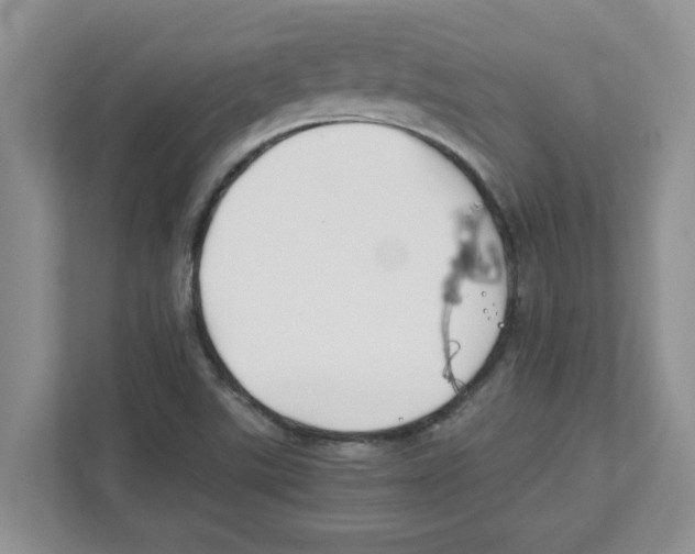 X0000110931507200907161529