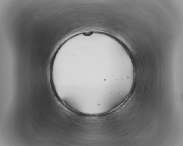 X0000110931508200907161529