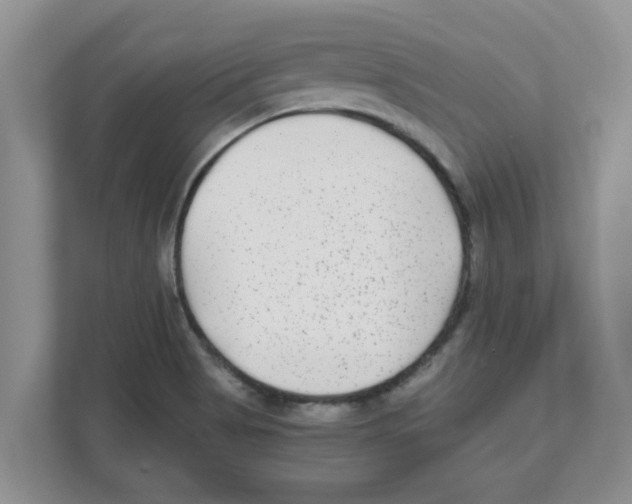 X0000110931513200907161529