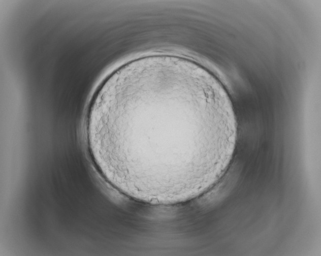 X0000110931514200907161529