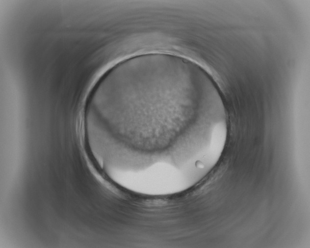 X0000110931515200907161529