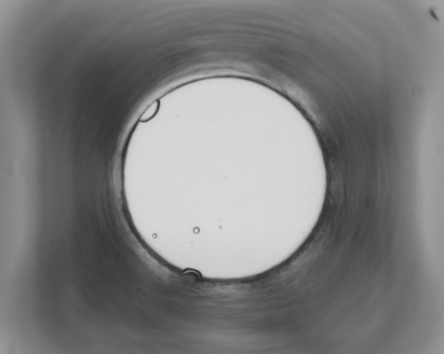 X0000110931516200907161529