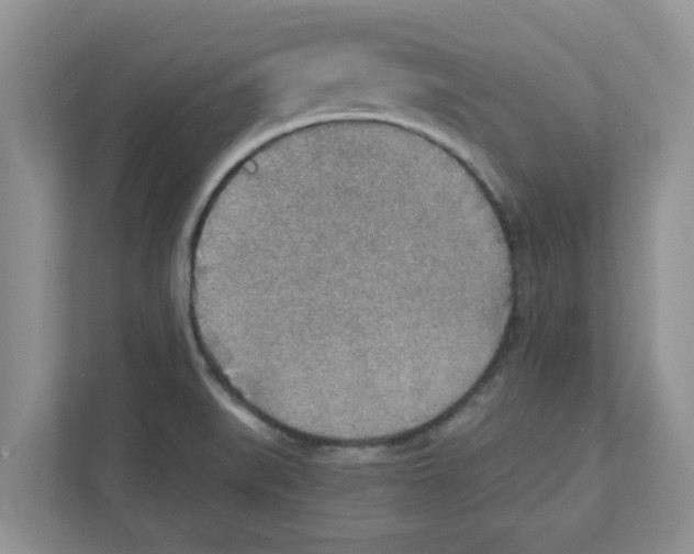 X0000110931519200907161529