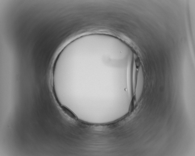 X0000110931520200907161529
