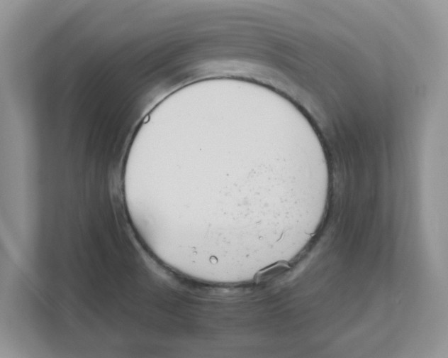 X0000110931521200907161529