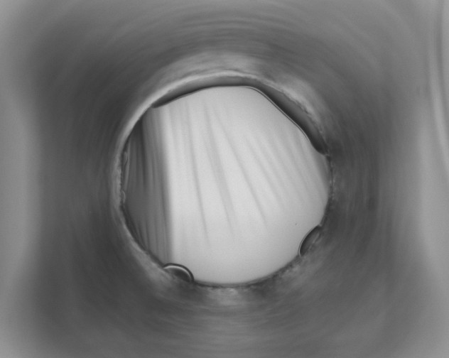 X0000110931524200907161529