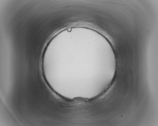 X0000110931525200907161529