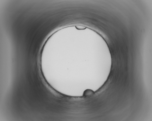 X0000110931526200907161529