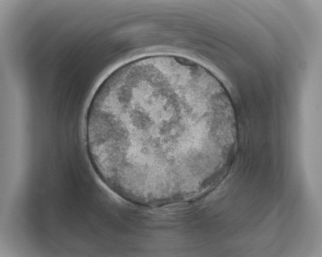 X0000110931527200907161529