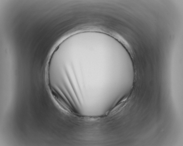 X0000110931528200907161529