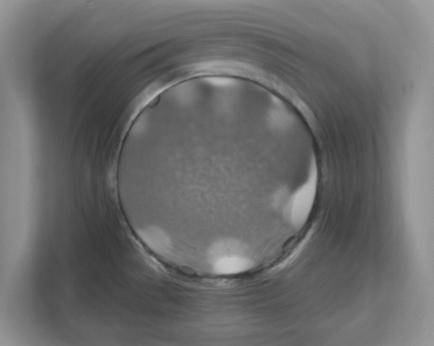 X0000110931529200907161529
