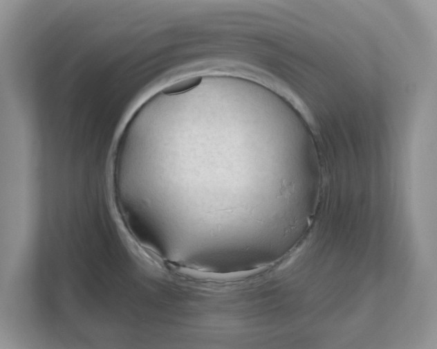 X0000110931530200907161529