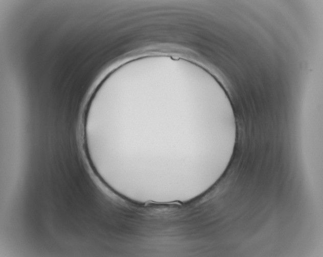 X0000110931531200907161529